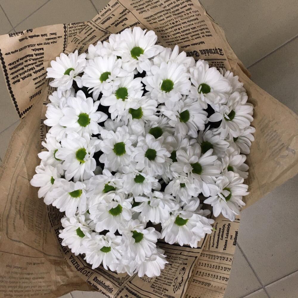 “Chick” 5 хризантем