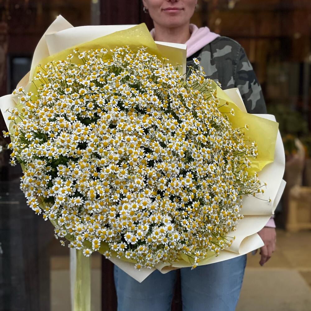 Букет из кустовых ромашек 