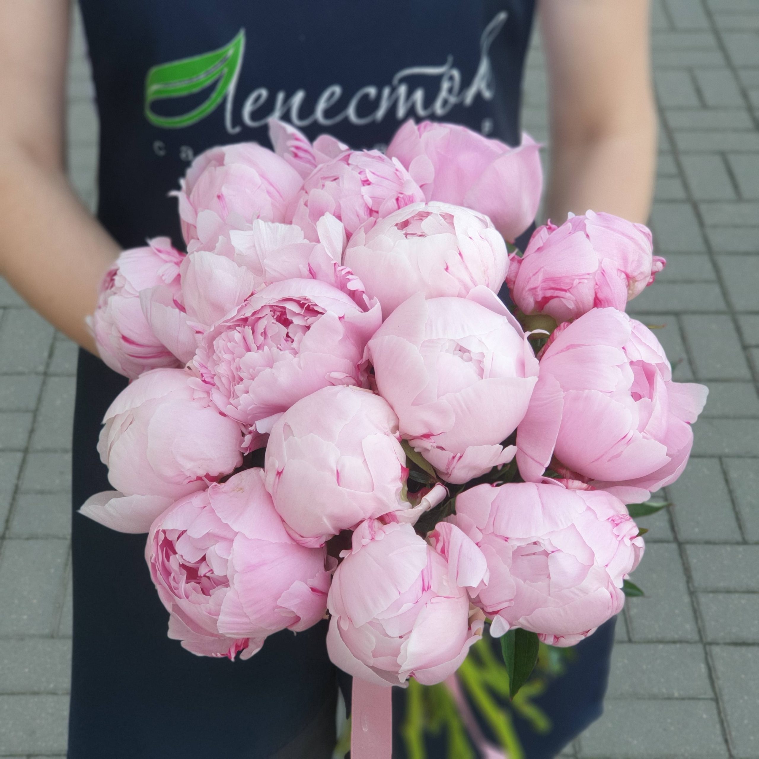 Букет из розовых пионов Сара Бернар