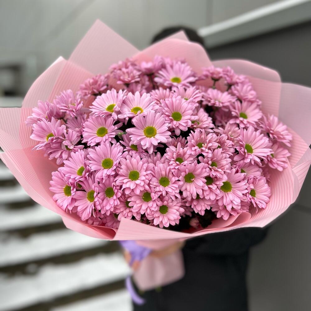 101 лиловая  ромашка