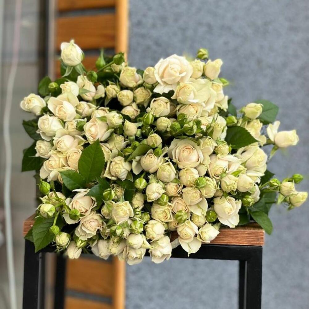 Кустовые розы-Snow Flake