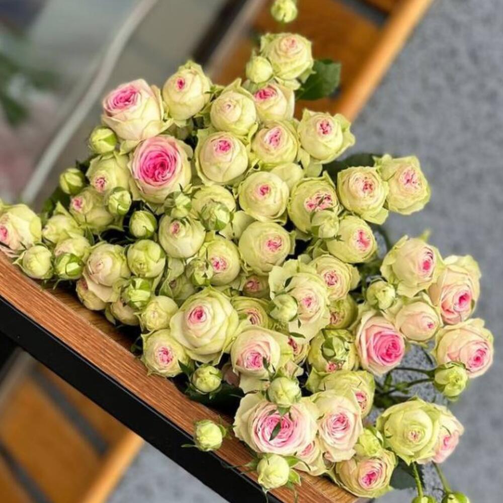 Кустовые пионовидные розы-Gelato